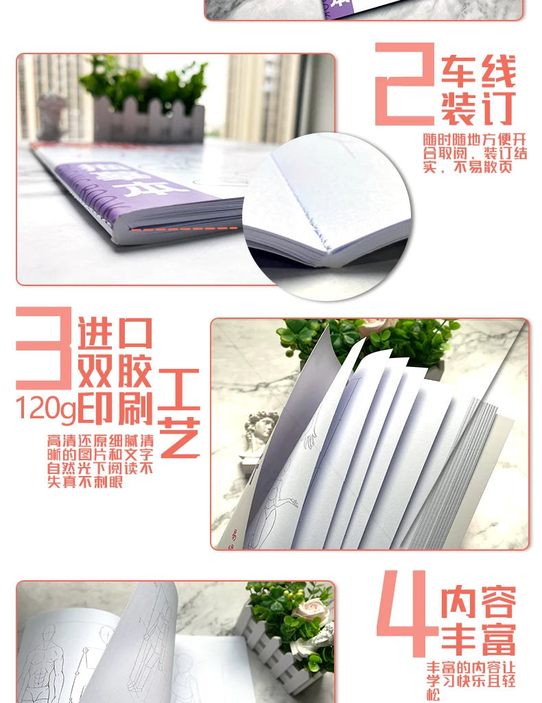 Anime Characters Tracing Sketch Hand Painted Tutorial Book Structure Of The Human Body Copy Practice Line Draft Practice Books