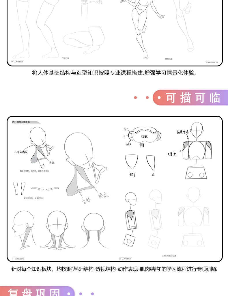Anime Characters Tracing Sketch Hand Painted Tutorial Book Structure Of The Human Body Copy Practice Line Draft Practice Books