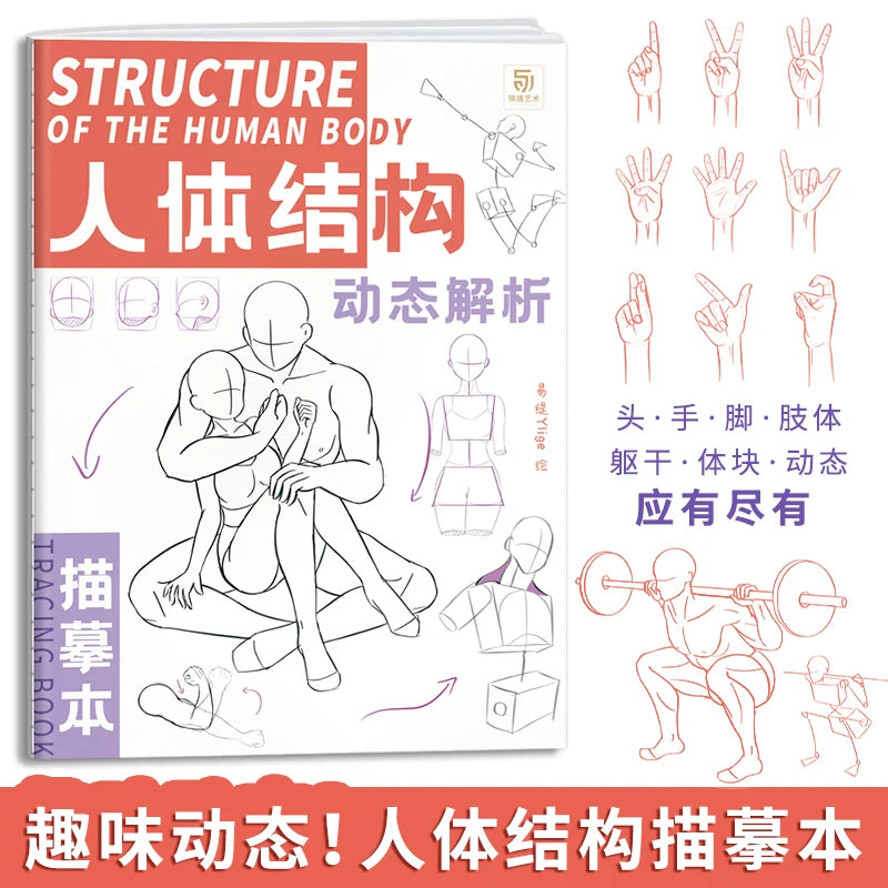 Anime Characters Tracing Sketch Hand Painted Tutorial Book Structure Of The Human Body Copy Practice Line Draft Practice Books
