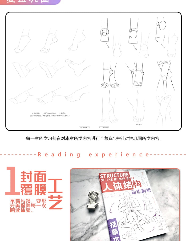 Anime Characters Tracing Sketch Hand Painted Tutorial Book Structure Of The Human Body Copy Practice Line Draft Practice Books