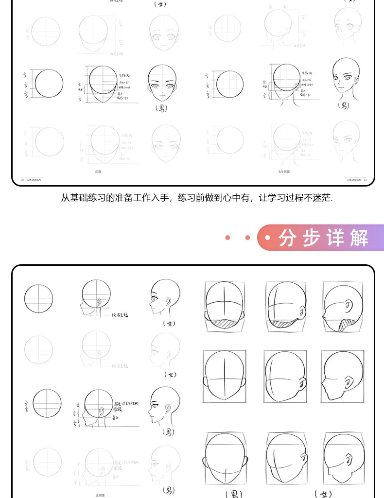 Anime Characters Tracing Sketch Hand Painted Tutorial Book Structure Of The Human Body Copy Practice Line Draft Practice Books