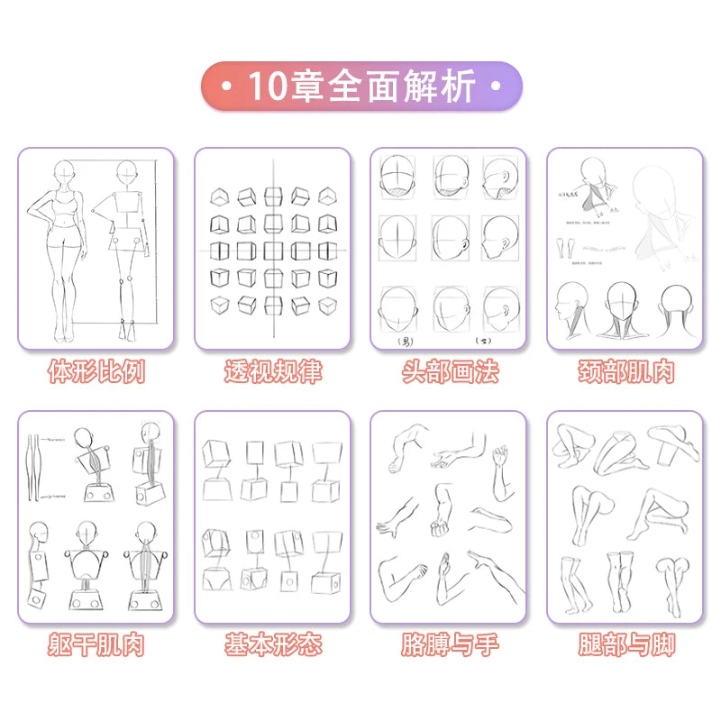 Anime Characters Tracing Sketch Hand Painted Tutorial Book Structure Of The Human Body Copy Practice Line Draft Practice Books