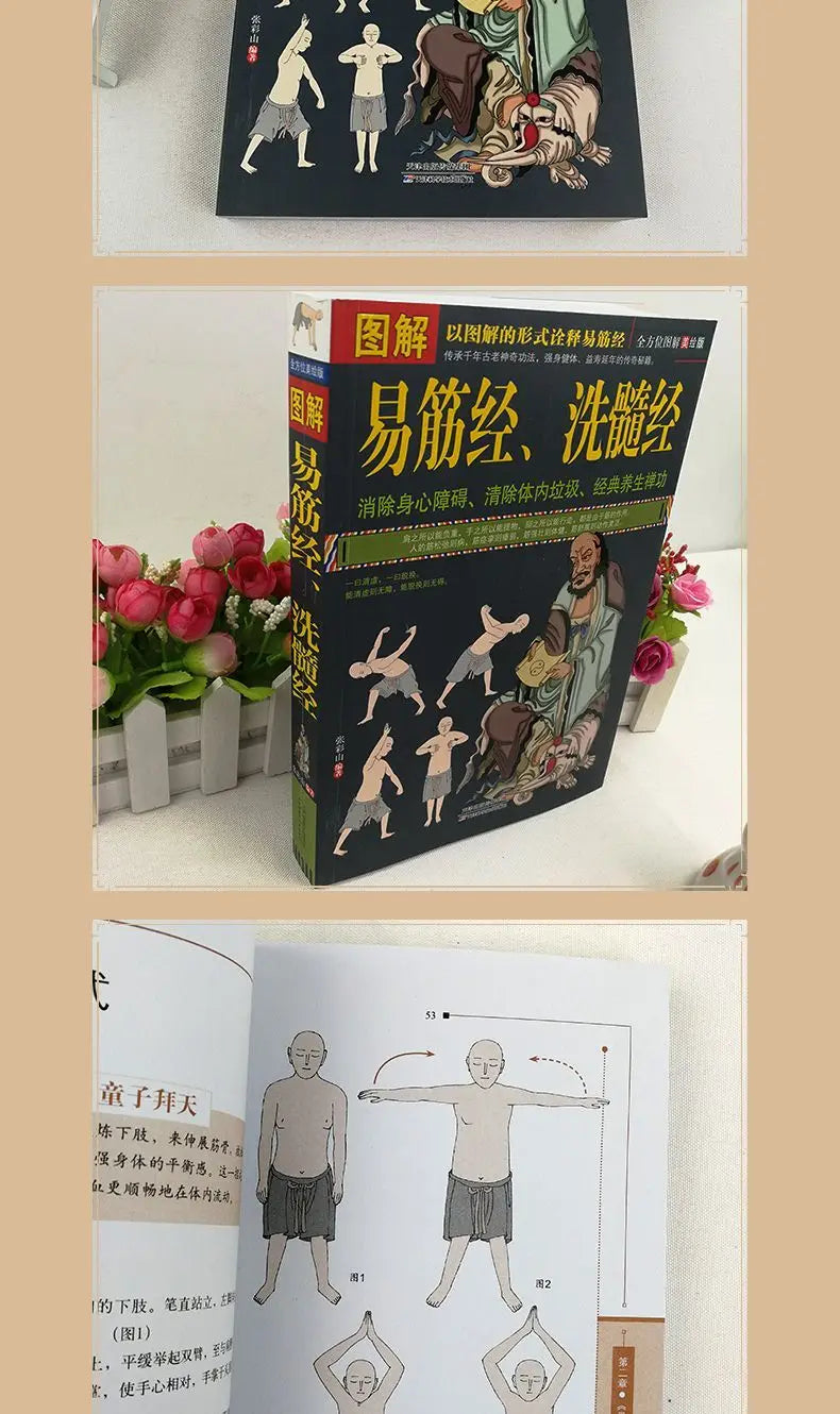 Illustrated Yi Jin Jing Washing Marrow Jing Yi Jin Jing Health Book Classic Traditional Culture Books