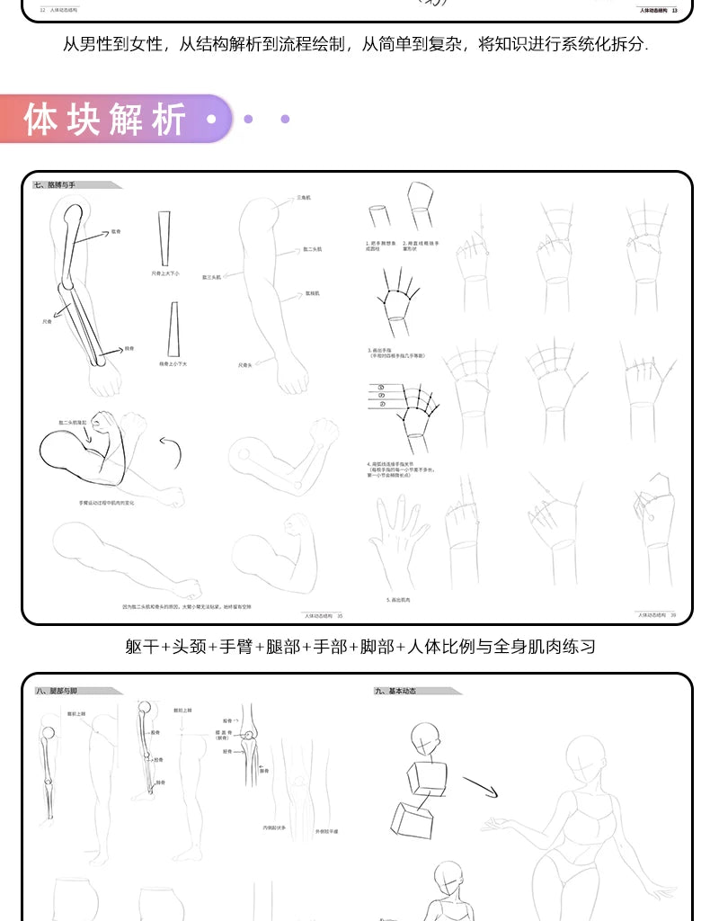 Anime Characters Tracing Sketch Hand Painted Tutorial Book Structure Of The Human Body Copy Practice Line Draft Practice Books