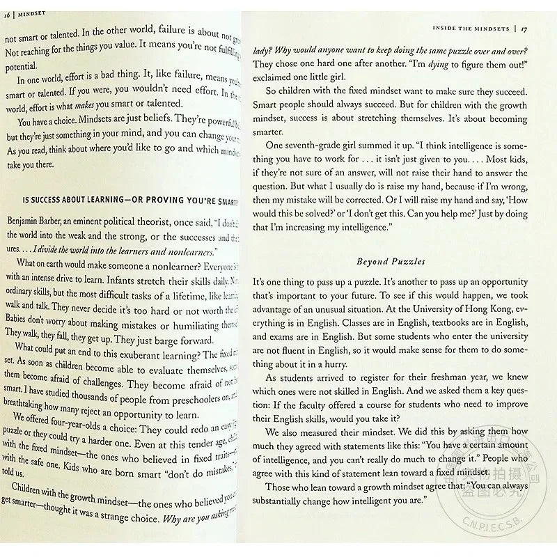 Mindset The New Psychology Of Success English Book by Carol S. Dweck Foreign Literature Inspirational Book harrypotter papeterie