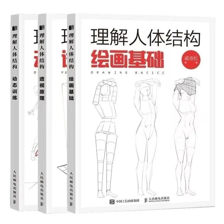 Understanding Human Body Structure: Dynamic Training + Perspective Principle + Drawing Basics Anime Painting Tutorial Art Book