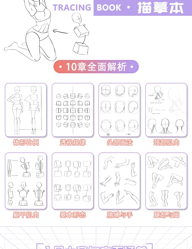 Anime Characters Tracing Sketch Hand Painted Tutorial Book Structure Of The Human Body Copy Practice Line Draft Practice Books
