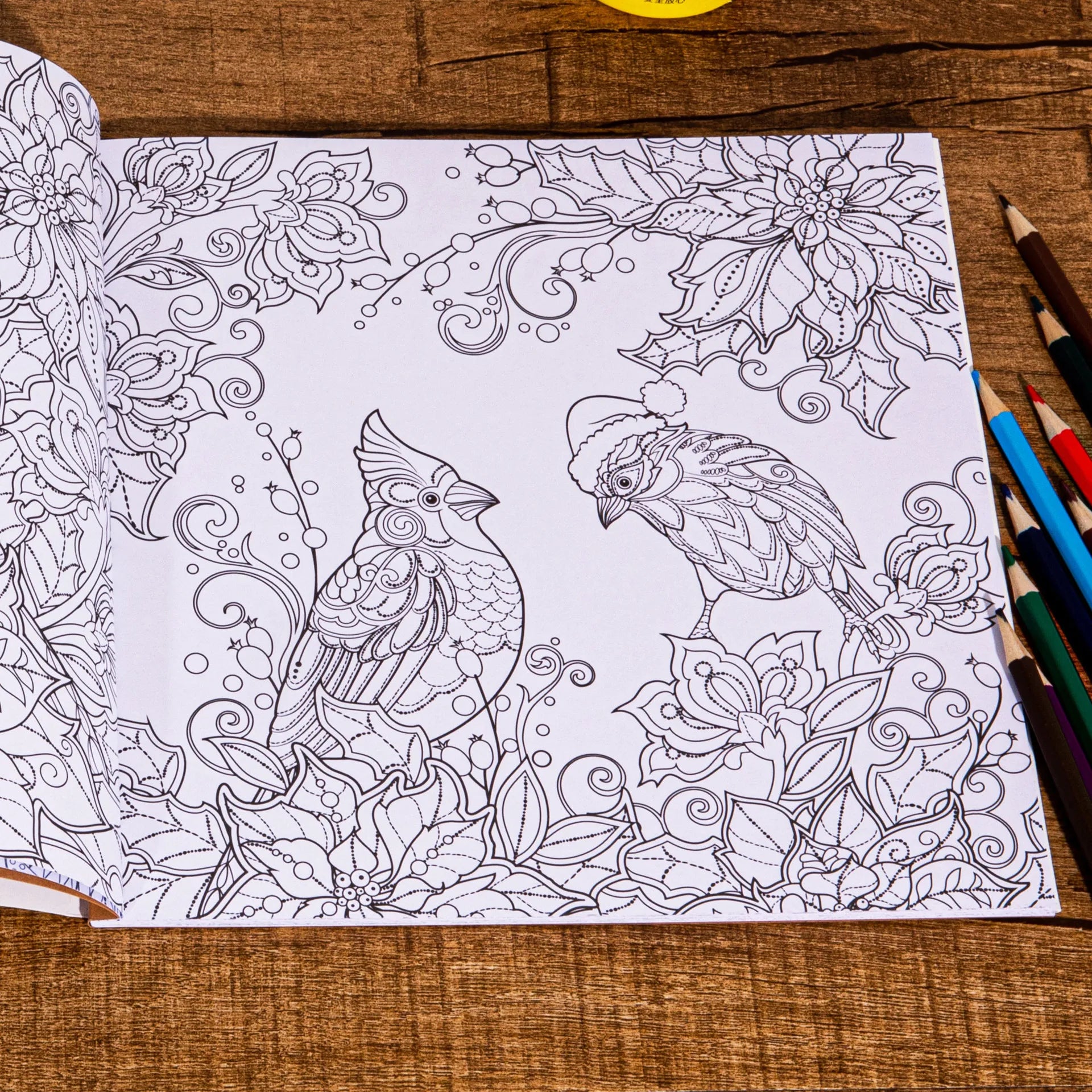 Magical Winter Coloring Book Relaxtion Stress Relief Kill Time Christmas and Winter Theme Graffiti Painting Drawing Book
