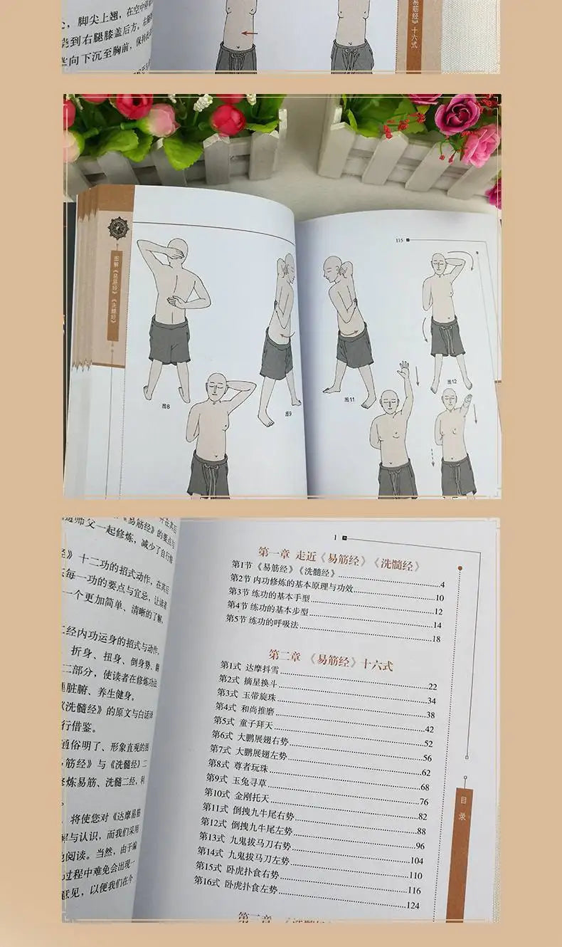 Illustrated Yi Jin Jing Washing Marrow Jing Yi Jin Jing Health Book Classic Traditional Culture Books