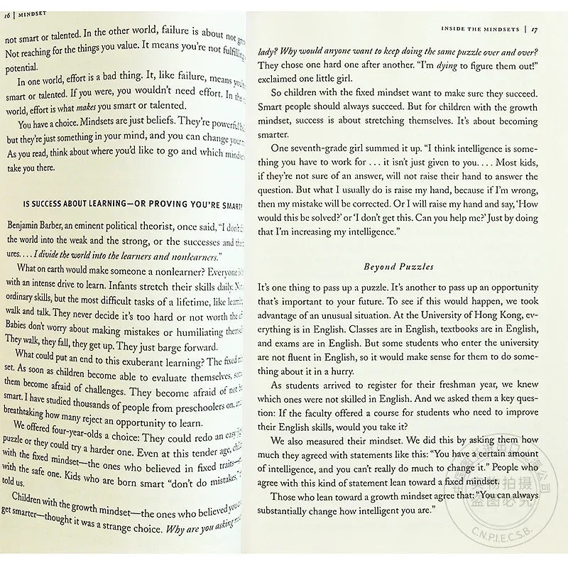 Mindset The New Psychology Of Success English Book by Carol S. Dweck Foreign Literature Inspirational Book harrypotter papeterie